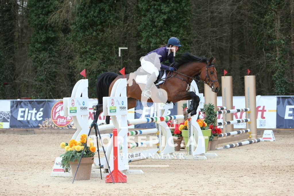 DL2Q9573 | Willkommen bei Brunnmayr - Design & Fotografie – Ihrem Spezialisten für Reitturniere und Pferdeveranstaltungen in Oberösterreich, Salzburg und Bayern! Seit über 17 Jahren sind wir leidenschaftlich dabei.