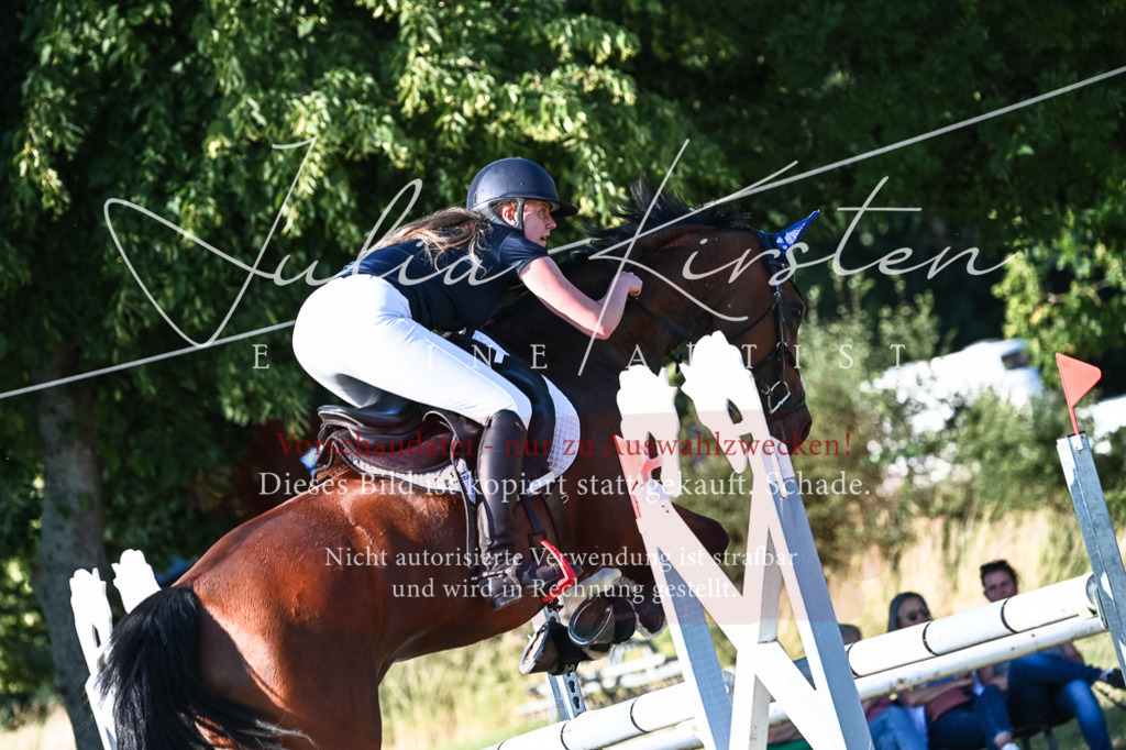 DSC_2930 | Pferde- und Turnierfotografie in Westsachsen. Pferdeportraits, Auftragszeichnungen und intuitive Kunst.