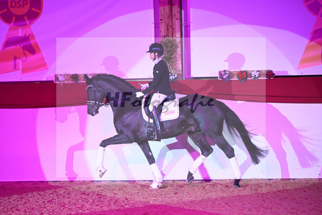 Dream Royal_1235132 | hf-fotografie - Realisiert mit Pictrs.com