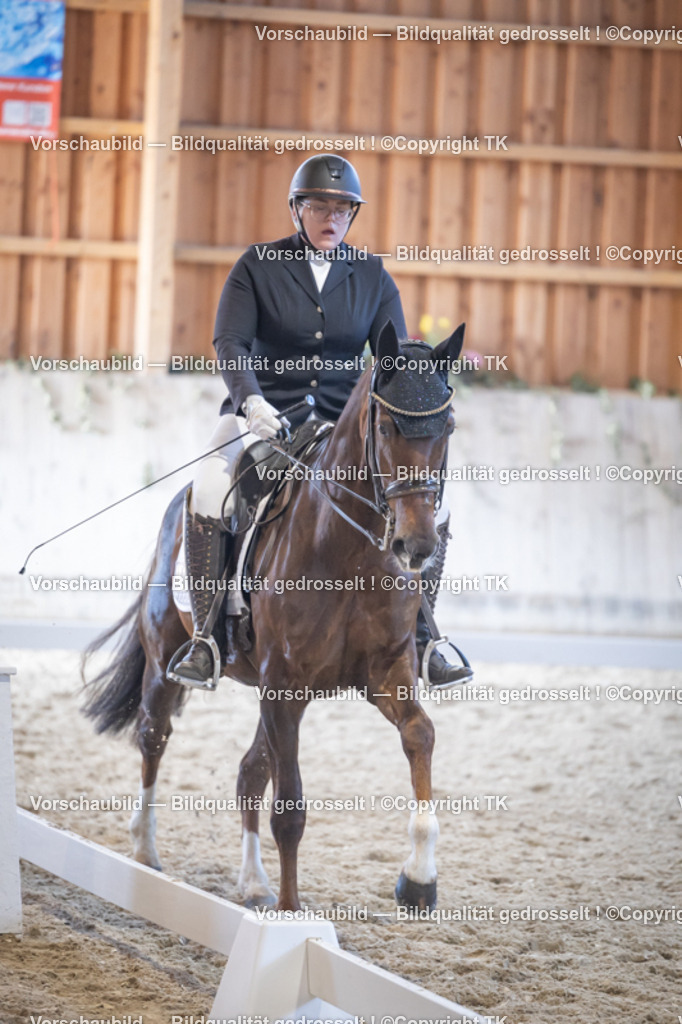 _D5A5114 | Emotionale Pferde- & People-Fotografie rund um Heidelberg, Leimen & Umgebung. Natürliche Fotos von Pferd, Mensch & Familie. Jetzt Termin sichern!