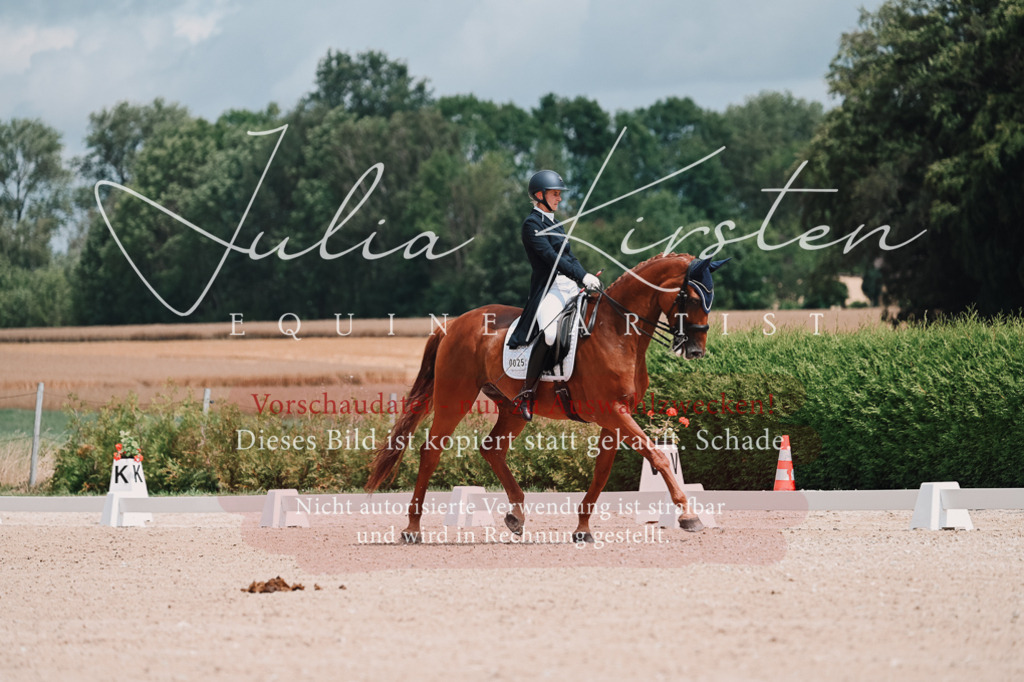 DSC_4208 | Pferde- und Turnierfotografie in Westsachsen. Pferdeportraits, Auftragszeichnungen und intuitive Kunst.