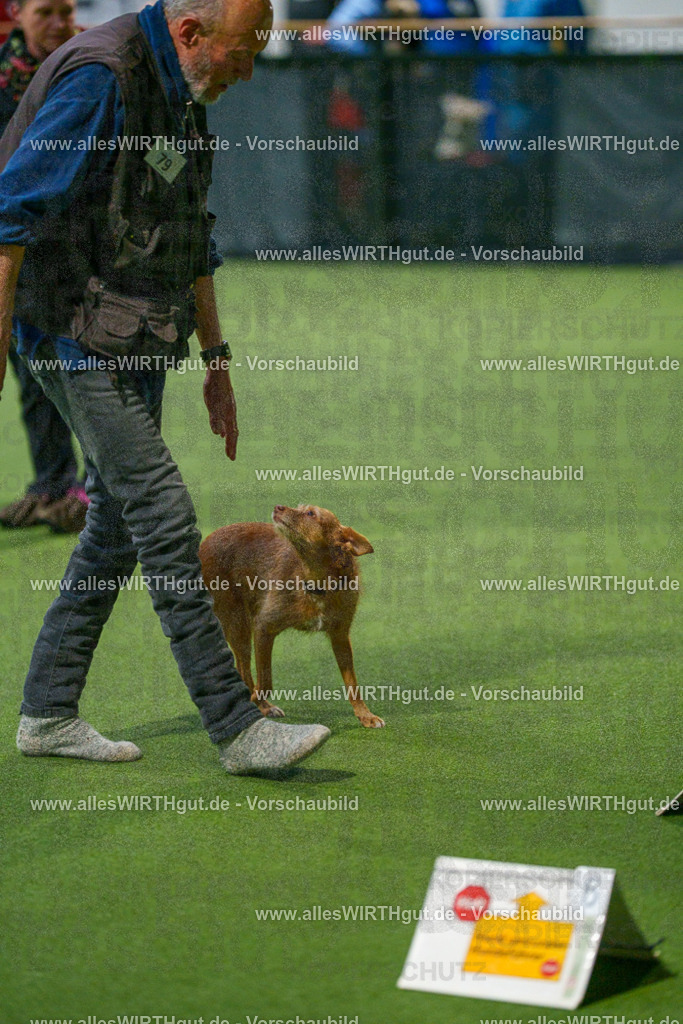 7R507602 | Professionelle Tierfotografie in Mönchengladbach von Daniel Wirth (allesWIRTHgut). Liebevolle & natürliche Bilder von Hunden & Katzen für unvergessliche Erinnerungen.