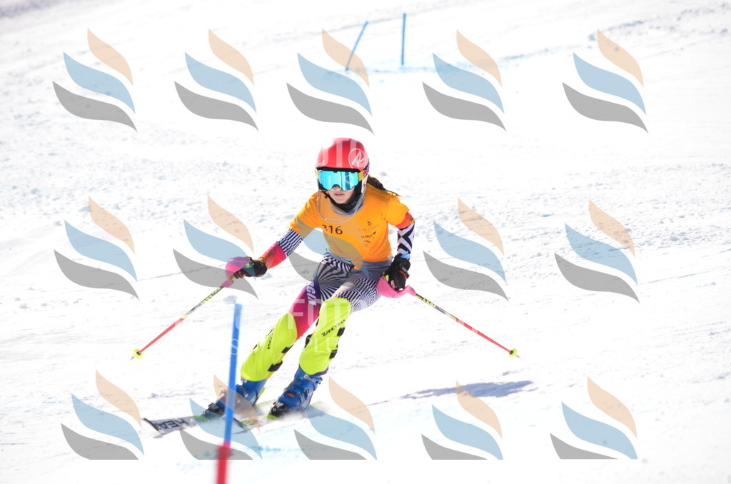 C9554 | holidayphoto