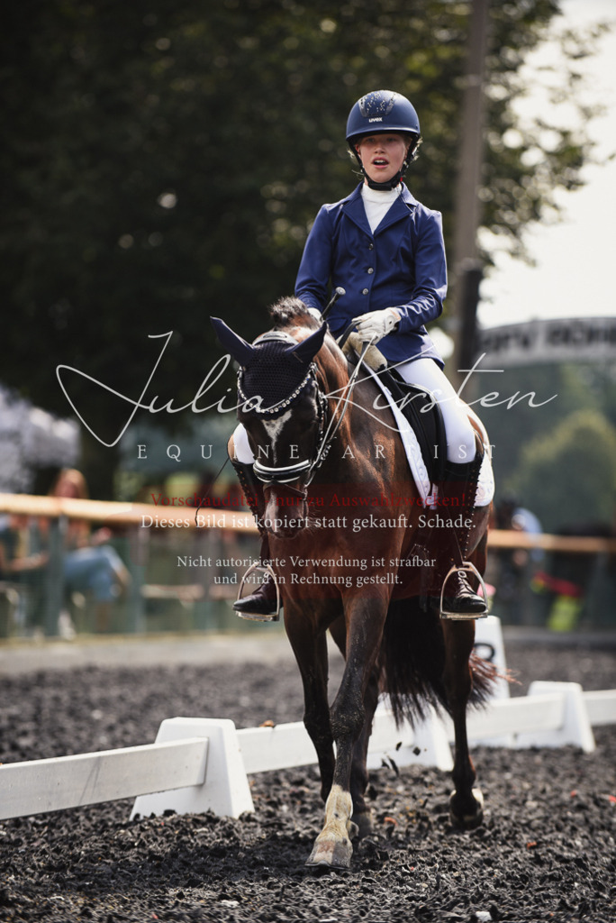 DSC_3854 | Pferde- und Turnierfotografie in Westsachsen. Pferdeportraits, Auftragszeichnungen und intuitive Kunst.