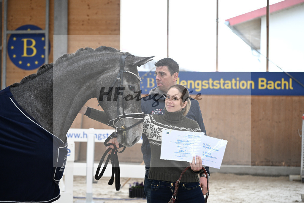 Kat-Nr. 5 Geyers Larimar v. Cizero Z_Geyer_5251482 | hf-fotografie - Realisiert mit Pictrs.com
