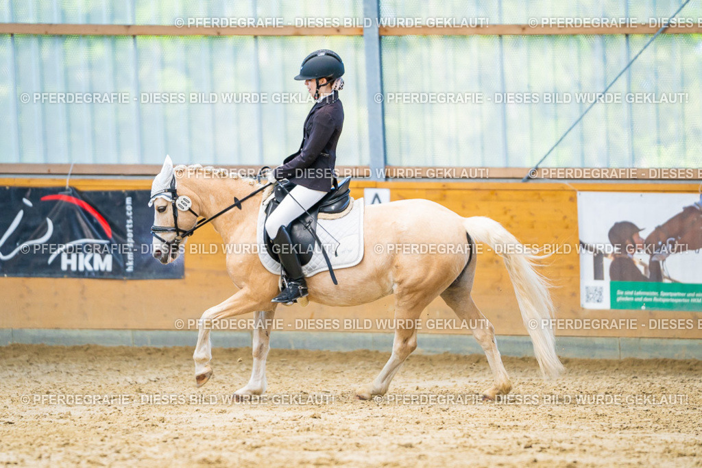 DSC07200 | Pferdegrafie