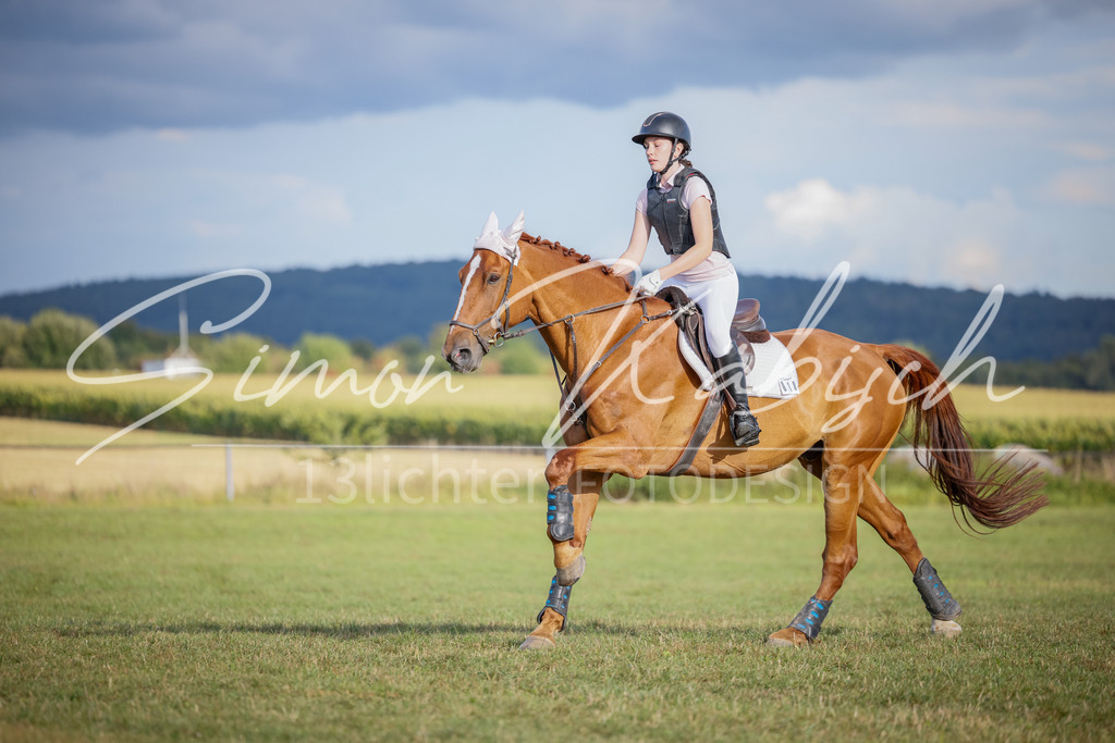 20250905-_3LI2221 | Tierfotografie Pferde, Hunde, Katzen, Haustiere.
Turnierfotografie Reitturniere, Reiten, Springreiten, Dressur in Hanau, dem Main-Kinzig-Kreis und dem Rhein-Main- Gebiet um Frankfurt