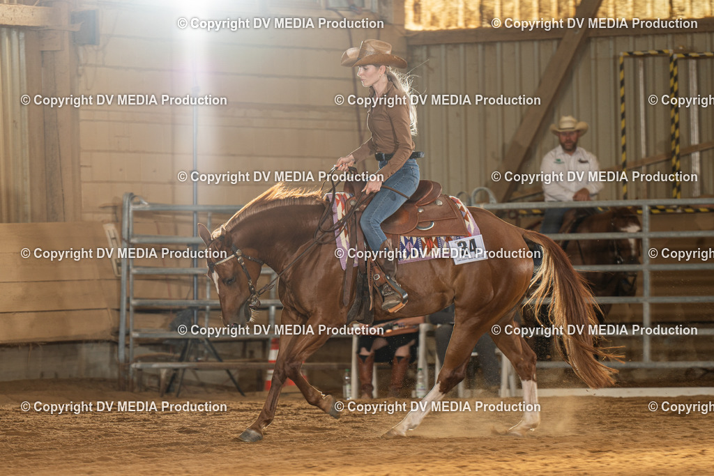 NID01836 | dv-media-shop - Realisiert mit Pictrs.com