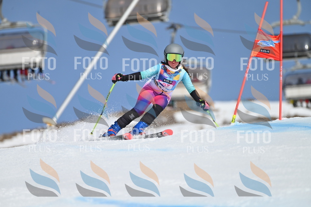 BGV_9390 | holidayphoto