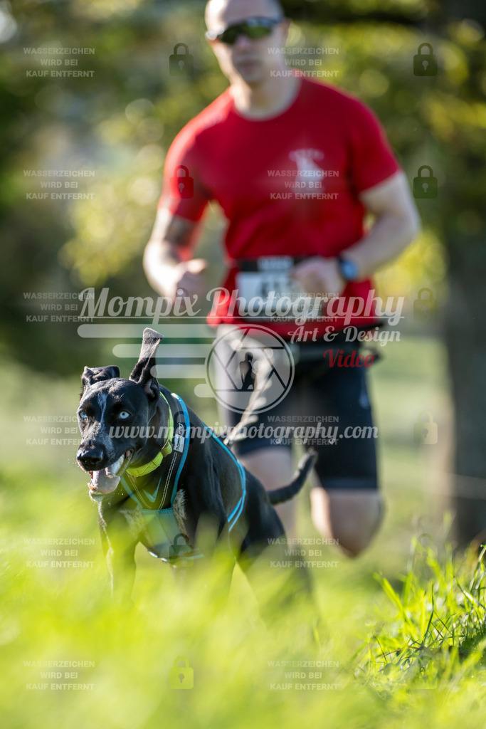 MompixPhotography_20TSB_E3_Run-226 | PayLife