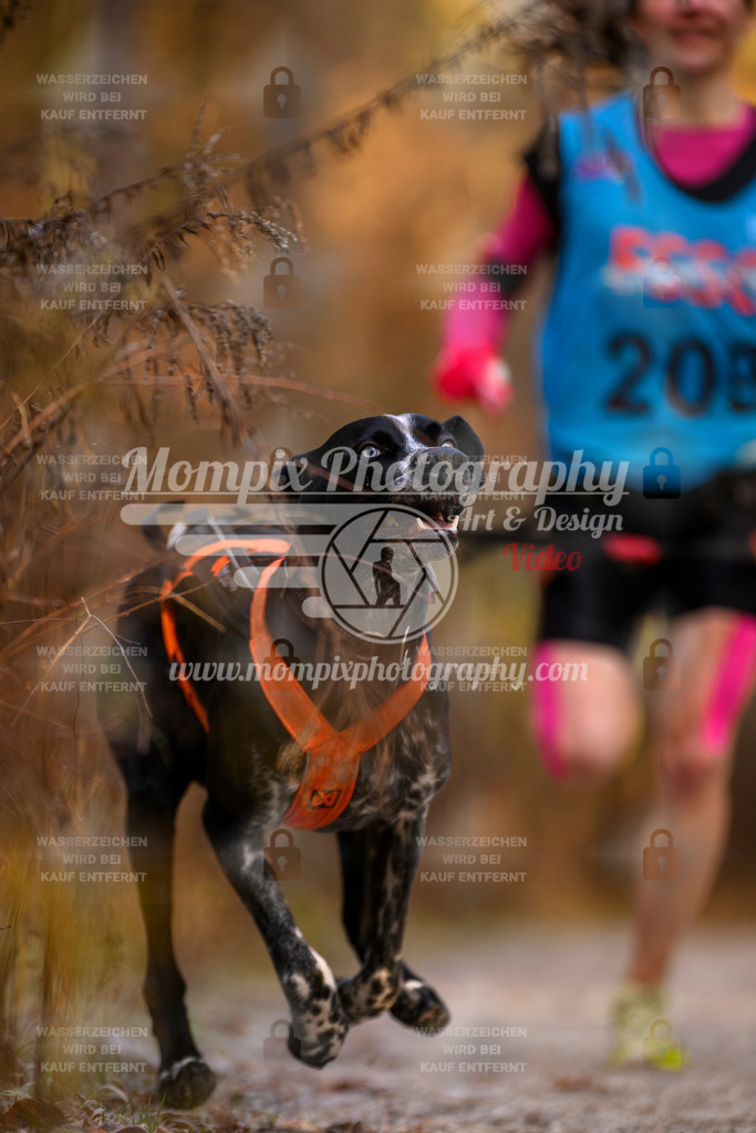 MompixPhotography_DM_AKDM_SO_2025_-18 | PayLife