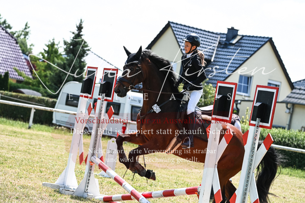 DSC_9857 | Pferde- und Turnierfotografie in Westsachsen. Pferdeportraits, Auftragszeichnungen und intuitive Kunst.