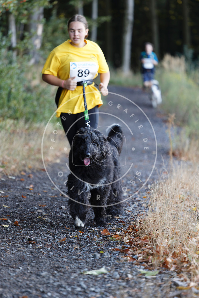 0L8A2157 | Hundefotografie, Tierfotograf, Pfotenfotografie, Fotoshooting Hund, Hunde Portrait, Hundesport, Hundeportraits, Heideshooting, Hunde, Sportfotograf, Hundefotograf, Turnierhundsport, THS,  - Realisiert mit Pictrs.com
