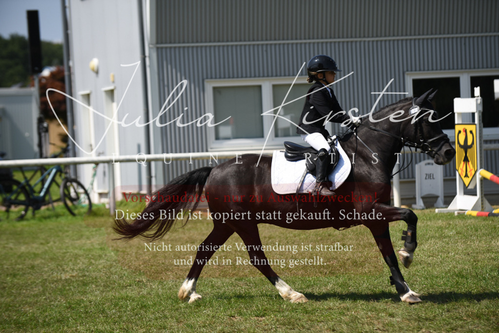 DSC_9968 | Pferde- und Turnierfotografie in Westsachsen. Pferdeportraits, Auftragszeichnungen und intuitive Kunst.