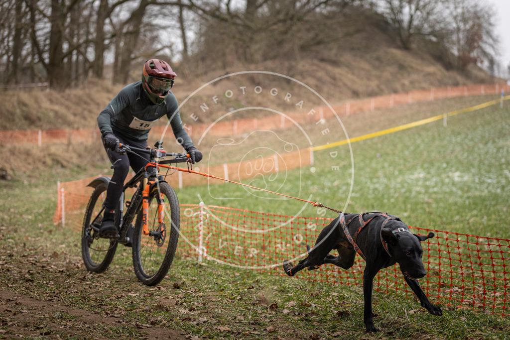 Pfotenfotografie_DV3A6880 | Hundefotografie, Tierfotograf, Pfotenfotografie, Fotoshooting Hund, Hunde Portrait, Hundesport, Hundeportraits, Heideshooting, Hunde, Sportfotograf, Hundefotograf, Turnierhundsport, THS,  - Realisiert mit Pictrs.com