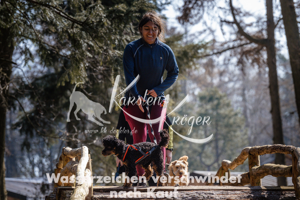1340_ZZ95936 | kk-dogfotos
