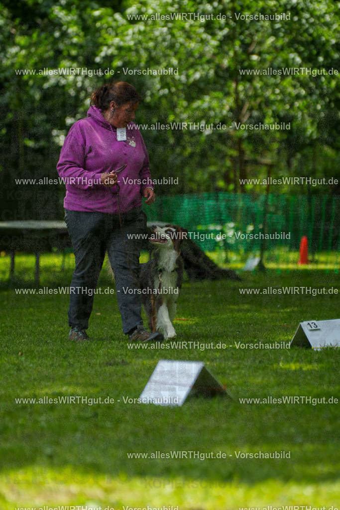 @allesWIRTHgut_Tierfotografie - www.allesWIRTHgut.de - 7R504933 | Professionelle Tierfotografie in Mönchengladbach von Daniel Wirth (allesWIRTHgut). Liebevolle & natürliche Bilder von Hunden & Katzen für unvergessliche Erinnerungen.