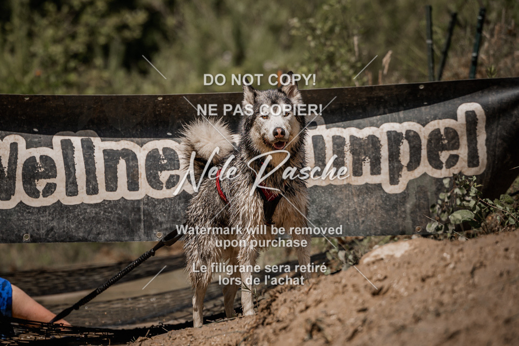 nelerasche_Hoope2026_Sa1330-1400_281 | nelerasche