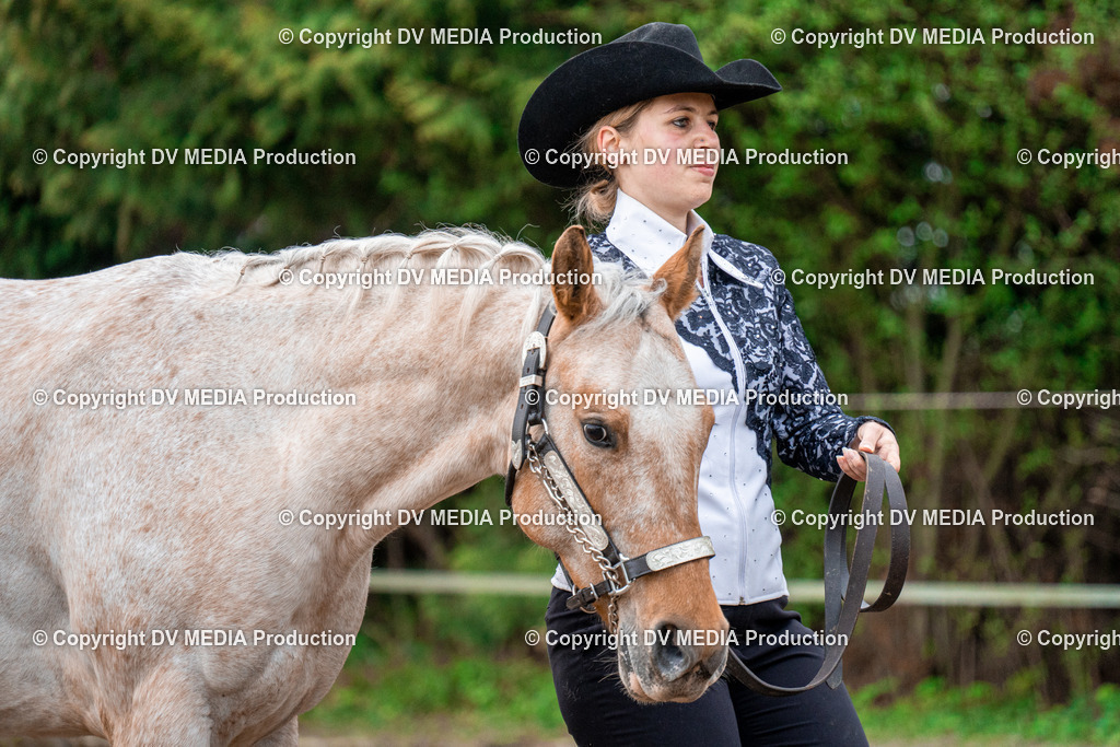 BA300070 | dv-media-shop - Realisiert mit Pictrs.com