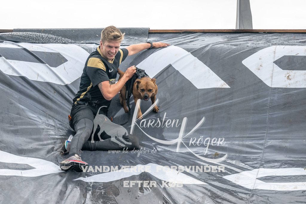 1400_ZZ93678 | kk-dogfotos