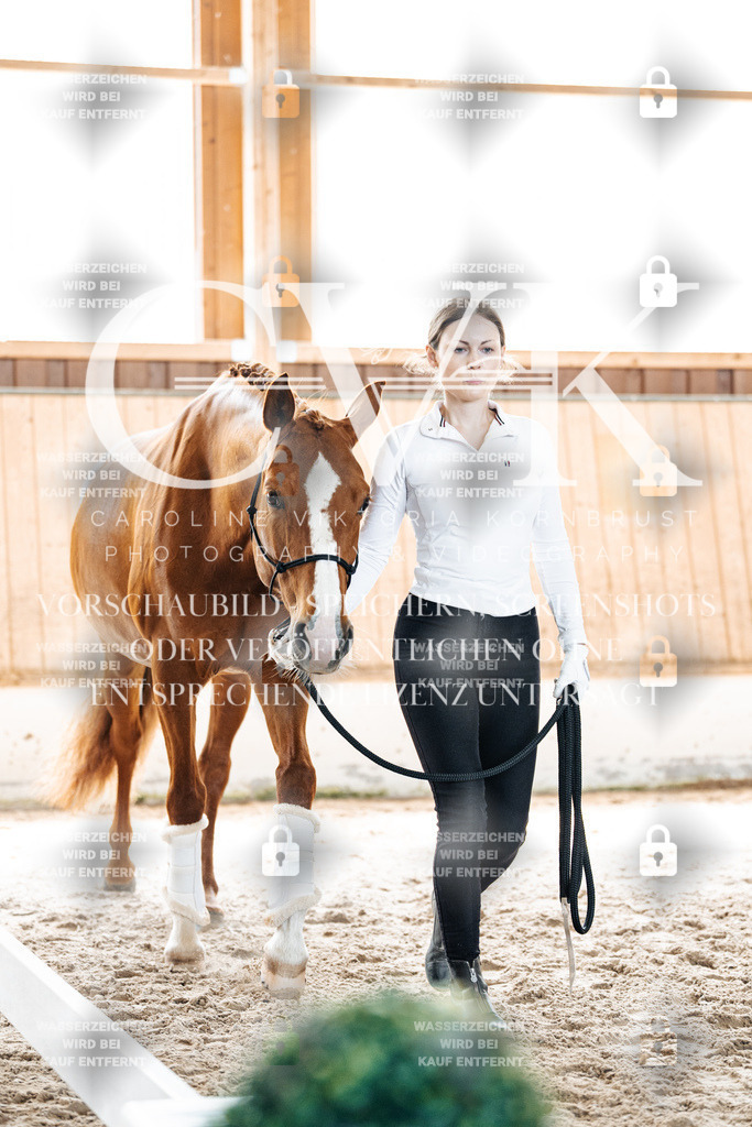 CK906910 | Turnierfotografie Pferdefotografie Trier Rheinland-Pfalz Pferdesport Reitsport Tierfotografie Sportfotografie Pferdevideo Pferdevideografie Equestrianvideography equestrianphotography  - Realisiert mit Pictrs.com