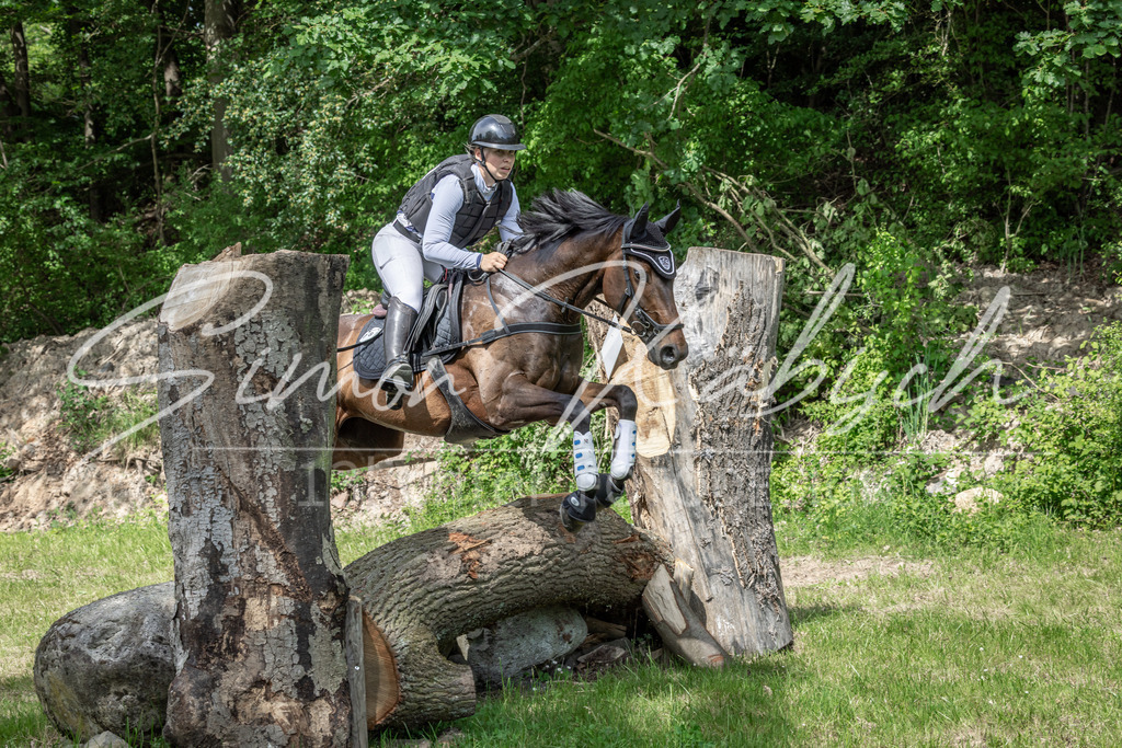 20260523-_3LI9235 | Tierfotografie Pferde, Hunde, Katzen, Haustiere.
Turnierfotografie Reitturniere, Reiten, Springreiten, Dressur in Hanau, dem Main-Kinzig-Kreis und dem Rhein-Main- Gebiet um Frankfurt