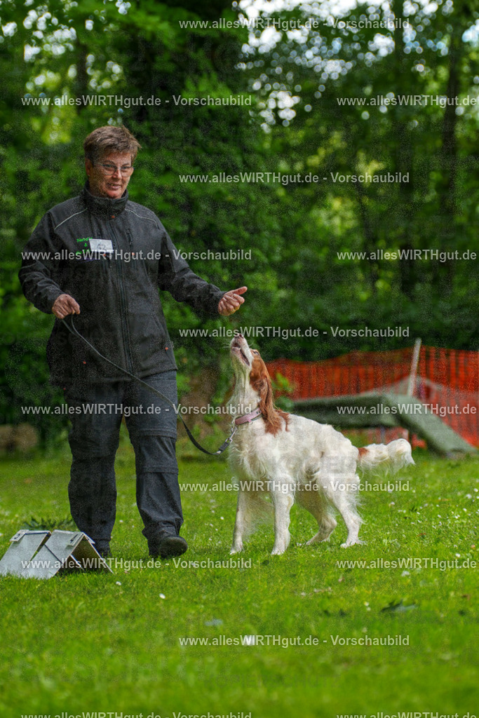 @allesWIRTHgut_Tierfotografie - www.allesWIRTHgut.de - 131404-7R509929 | Professionelle Tierfotografie in Mönchengladbach von Daniel Wirth (allesWIRTHgut). Liebevolle & natürliche Bilder von Hunden & Katzen für unvergessliche Erinnerungen.