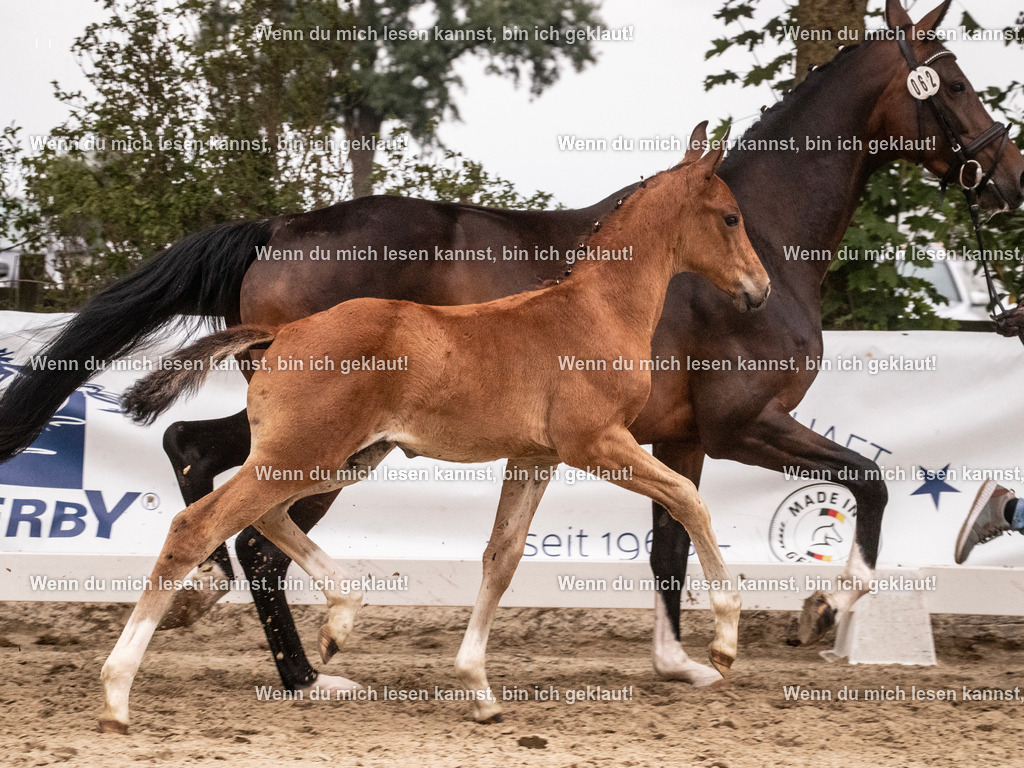 A10I6281 | photographylinaismer - Realisiert mit Pictrs.com