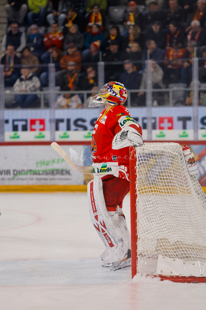 EHCB vs HCAP 20260115_wb-4123 | Sportbilder, Sportfotograf, Hochzeits- und Eventfotografin, Flugshows, Portraits und Tiershooting, Aviation, Downhill, Nationalleague, Swissleague, International