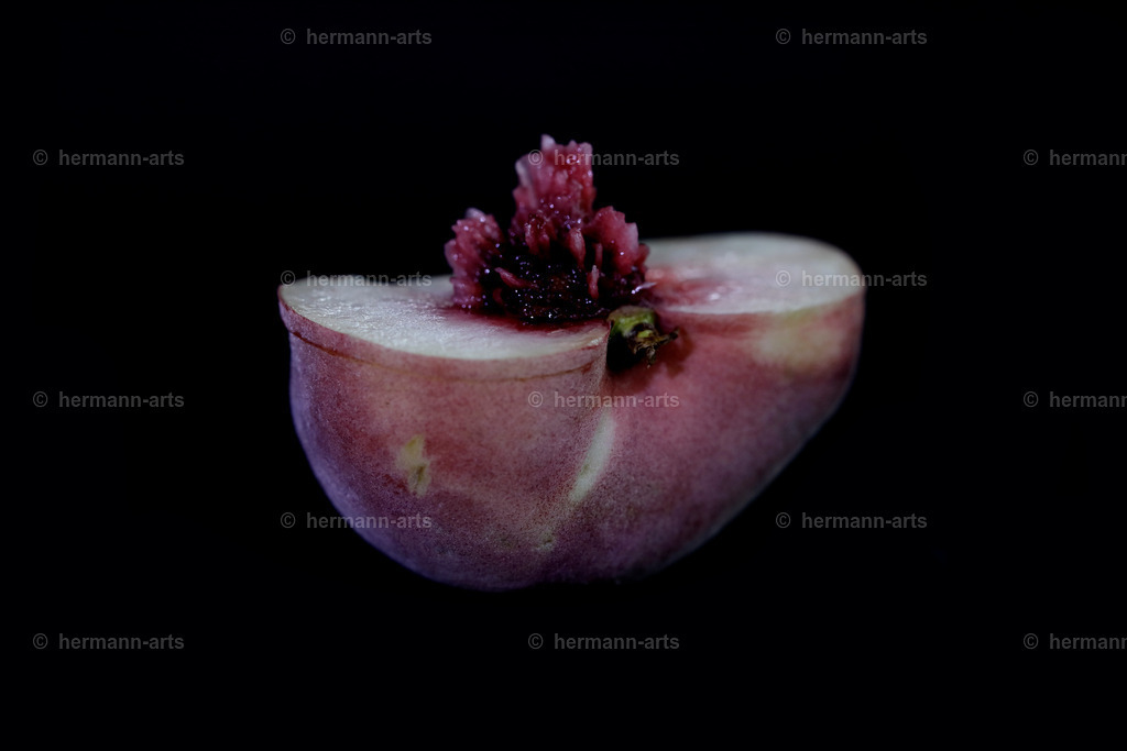 Fruits-Art-032 | Photo Foto Kunst Art schwarzweiss Bilder Rheine Münster Berlin Blumen 