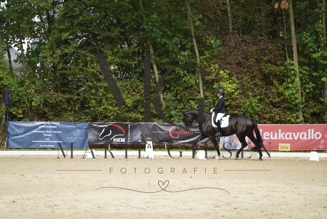 VAN01215 | Marie Giesen Fotografie - Realisiert mit Pictrs.com