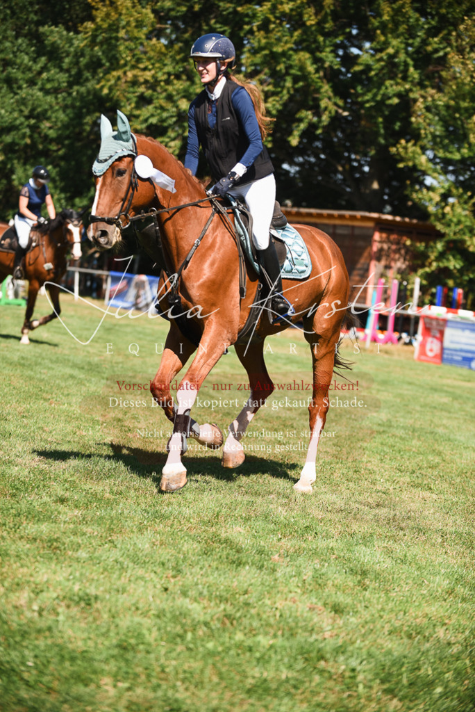 DSC_2957 | Pferde- und Turnierfotografie in Westsachsen. Pferdeportraits, Auftragszeichnungen und intuitive Kunst.