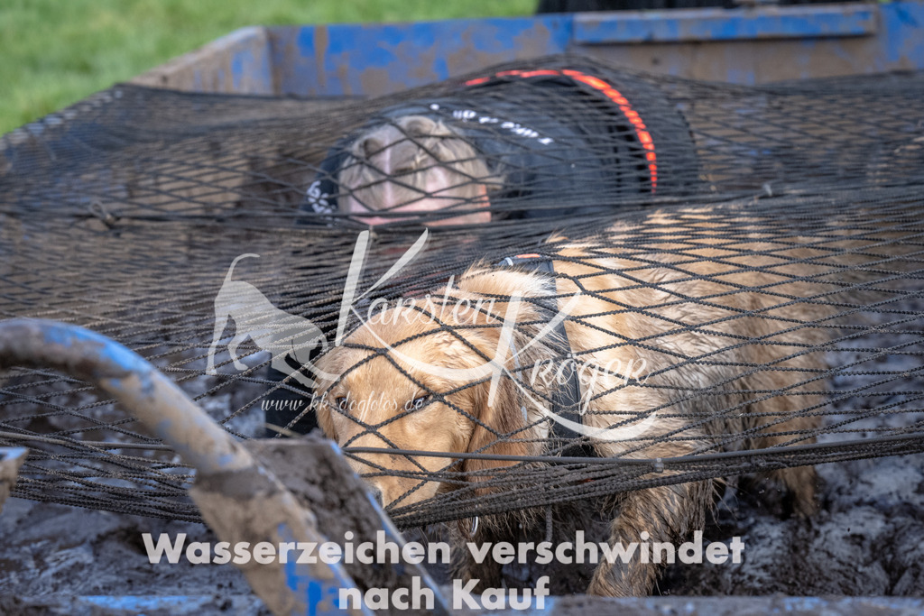 1456_ZZ93711 | kk-dogfotos