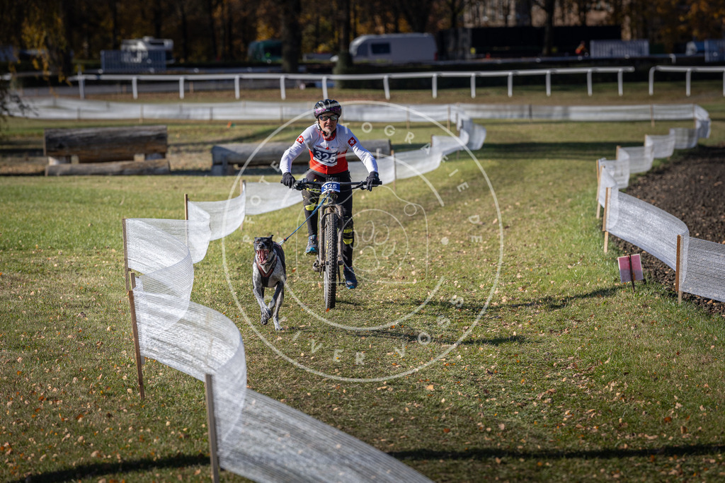 CaniXpix_DV3A6588 | Hundefotografie, Tierfotograf, Pfotenfotografie, Fotoshooting Hund, Hunde Portrait, Hundesport, Hundeportraits, Heideshooting, Hunde, Sportfotograf, Hundefotograf, Turnierhundsport, THS,  - Realisiert mit Pictrs.com