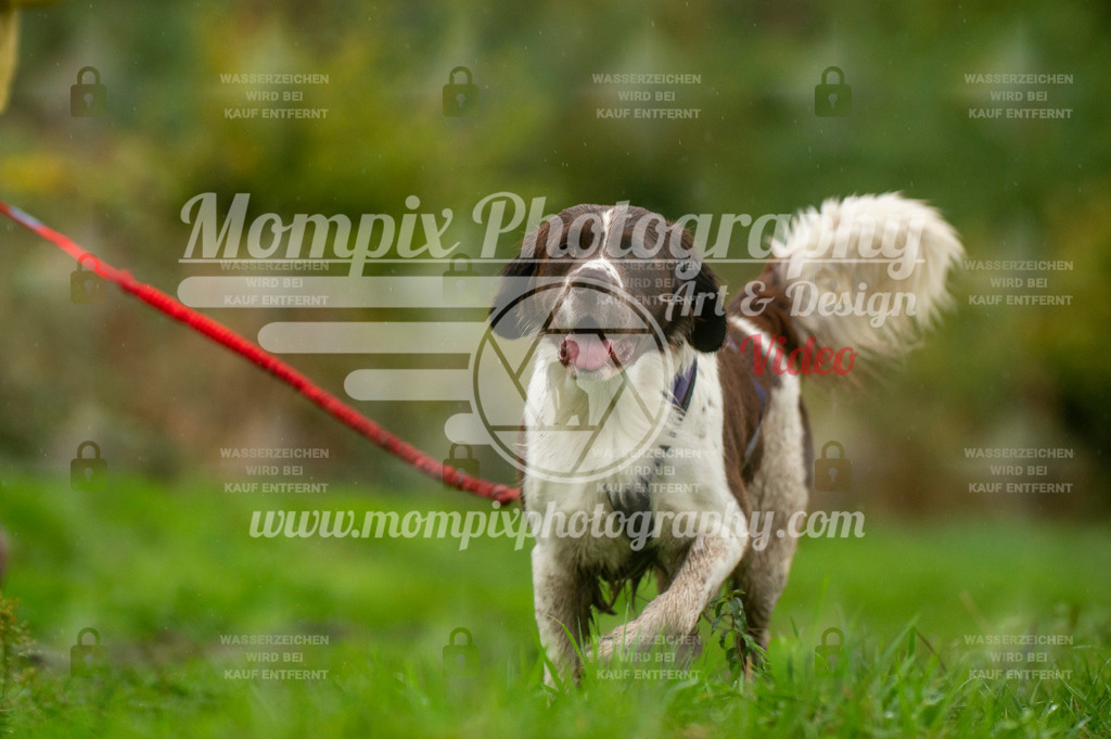 TSB_2023_E6_Canicross-185 | PayLife