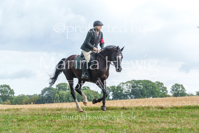 Jagd Knoop 26_MarinaHewigMCH02636 | Fotografie, FotoArt, PferdesportArt, Pferdesportfotografie, Landschaftsfotografie, Reisefotografie, Reise, Pferde - Realisiert mit Pictrs.com