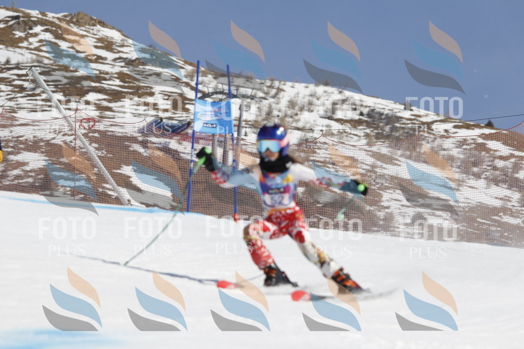 _U3G9503 | holidayphoto