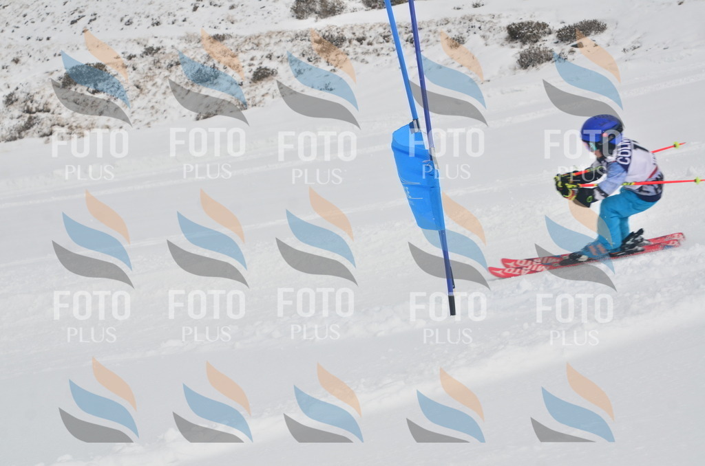 A5078 | holidayphoto