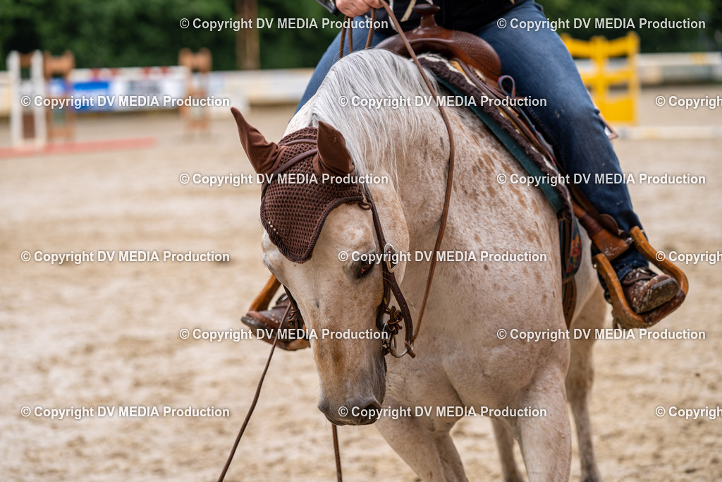 Zeiskam Tag 1-324 | dv-media-shop - Realisiert mit Pictrs.com