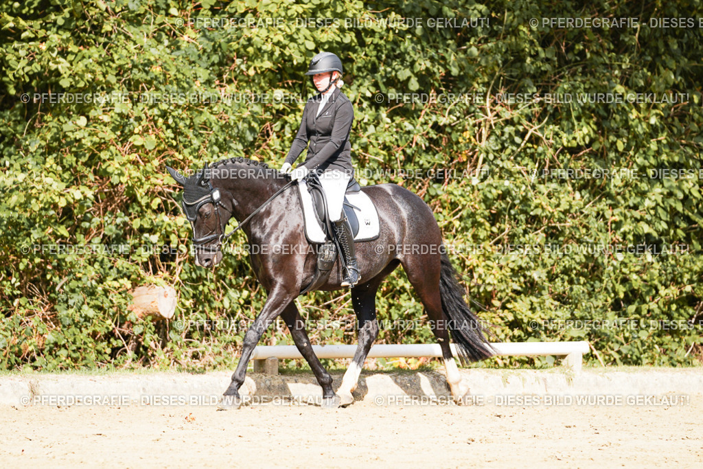 DSC02245 | Pferdegrafie