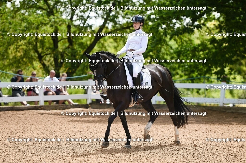 20230716_03_Dressurprfg. Kl.L - Tr._0039 | equistock