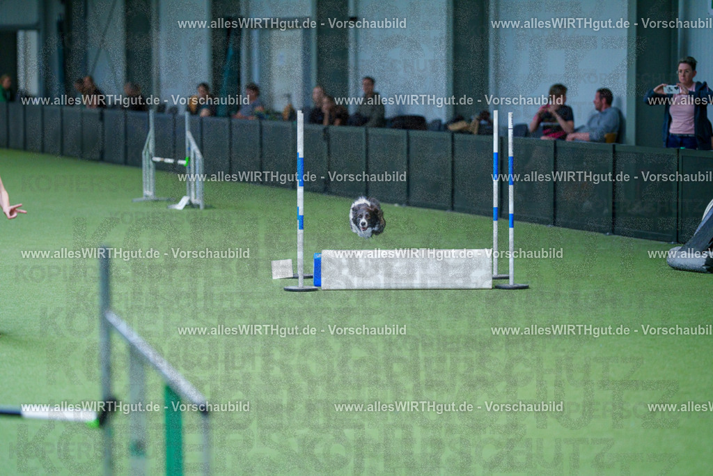 @allesWIRTHgut_Tierfotografie - www.allesWIRTHgut.de - 2604261227-7R500964 | Professionelle Tierfotografie in Mönchengladbach von Daniel Wirth (allesWIRTHgut). Liebevolle & natürliche Bilder von Hunden & Katzen für unvergessliche Erinnerungen.