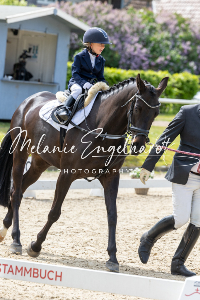 7I8A3254 | melanie-engelhardt-photography - Realisiert mit Pictrs.com