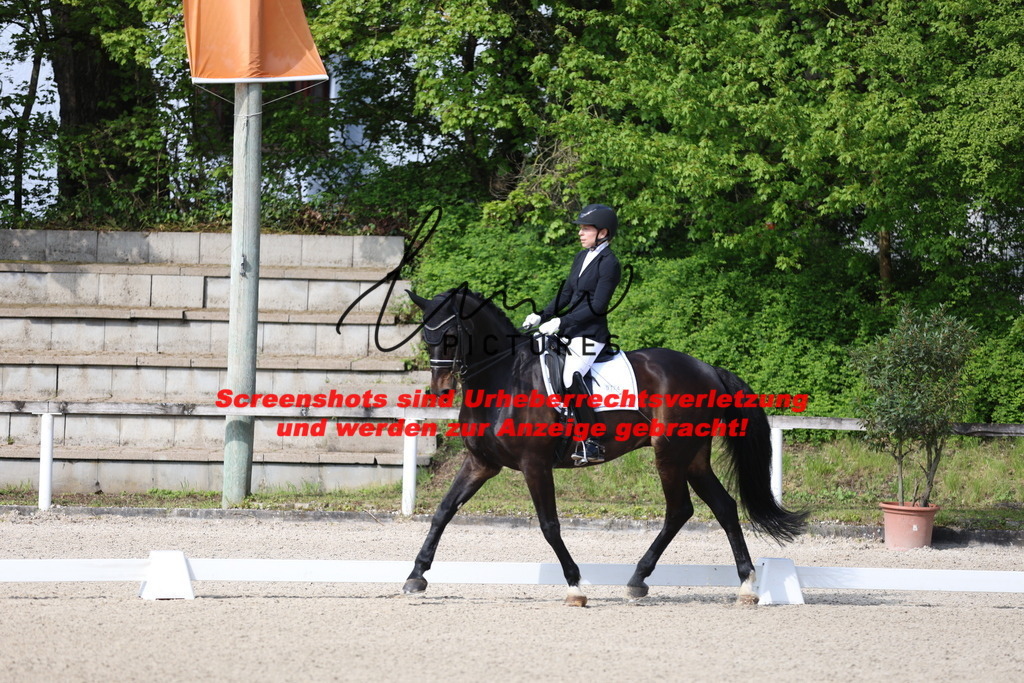 A40A3770 | lmwpictures - Realisiert mit Pictrs.com