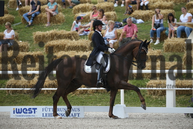 Birkhof_2022_GrandPrixSpecial_Martina Steisslinger_Favory A.S (14) | Alle Fotos der Reiterjournal Fotografin Doris Matthaes im Reiterjournal Online-Fotoshop. - Realisiert mit Pictrs.com