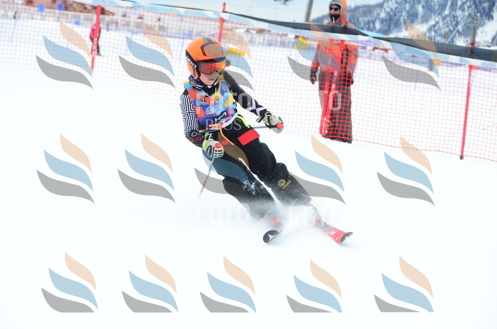 DSC_1812 | holidayphoto