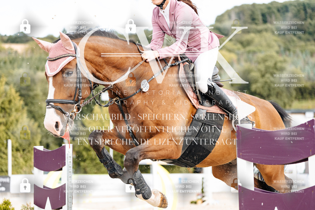 CK902876 | Turnierfotografie Pferdefotografie Trier Rheinland-Pfalz Pferdesport Reitsport Tierfotografie Sportfotografie Pferdevideo Pferdevideografie Equestrianvideography equestrianphotography  - Realisiert mit Pictrs.com