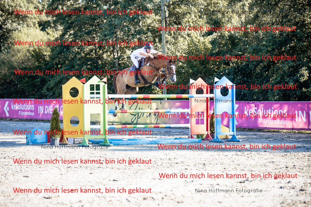 BK1A8704 | Turnierbilder Turnierfotos Nina Hüffmann Turnierfotografie Pferdefotografie Tierzeichnung Haustierzeichnung Pferdezeichnung Hundezeichnung Videograf  - Realisiert mit Pictrs.com