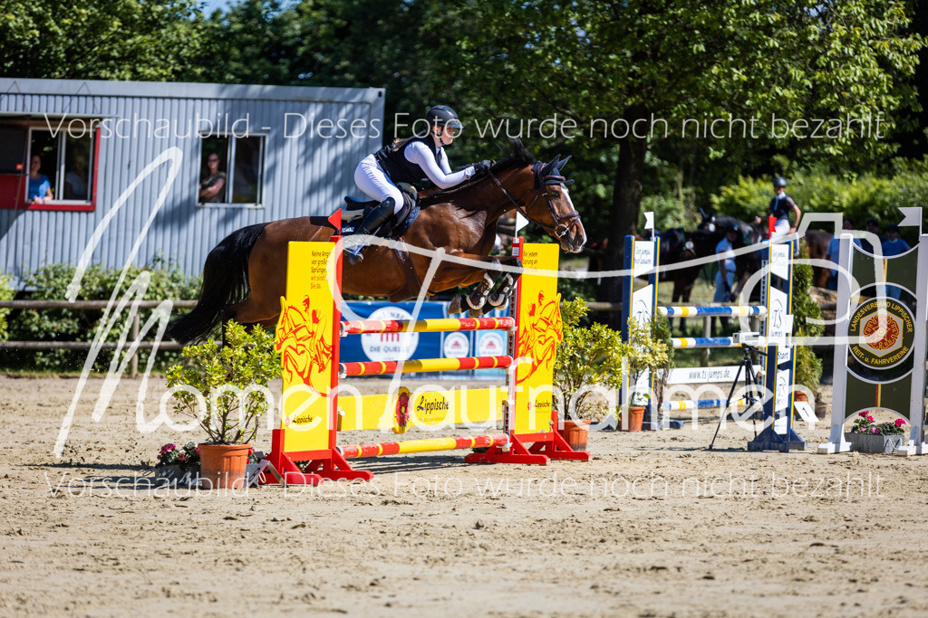 Donop24-M-Spr-088 | MomenTaufnahmen Pferdesportfotos