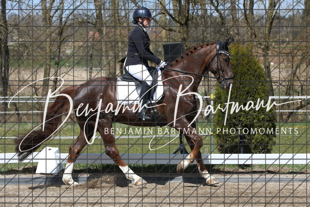 AZ2A4033 | Benjamin Bartmann Photomoments